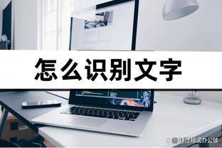 开云app官网网页版下载截图4